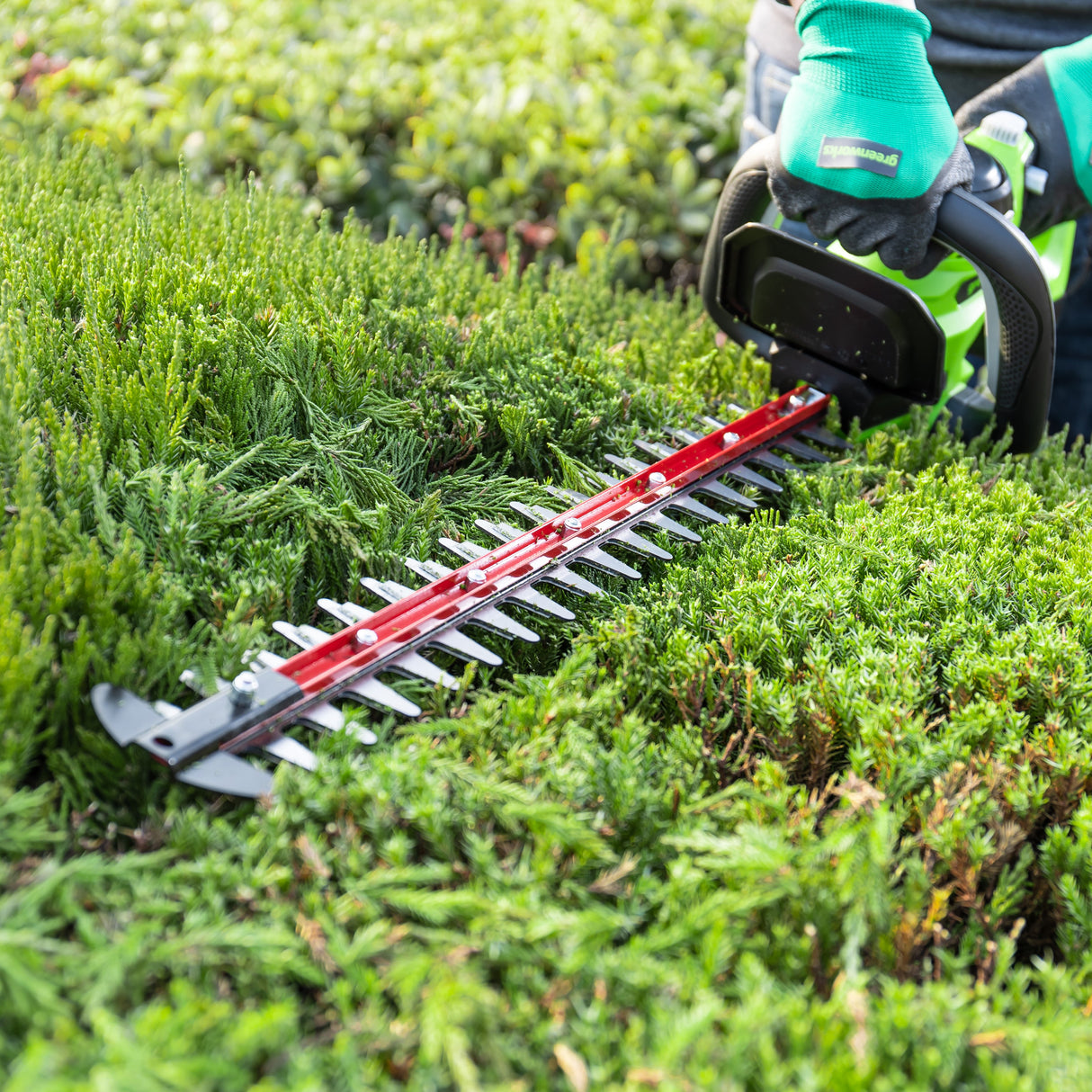 POWERALL 24V Taille-haie 61cm - Batterie 2Ah