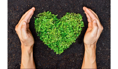 4 Quick Tips: How to Be More Environmentally Conscious
