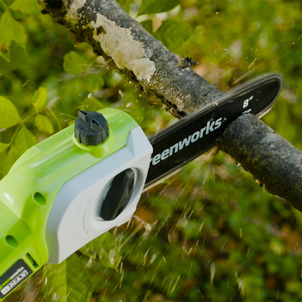 POWERALL 24V Elagueuse sur perche - Batterie 2Ah