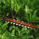 40V Taille-haie 61cm - Batterie 2Ah